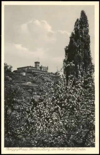 Ansichtskarte Niederlößnitz-Radebeul Berggasthaus Friedensburg 1928