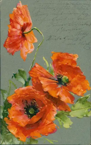 Künstlerkarte Monblumen in voller Blüte Mohn 1909 Silber-Effekt
