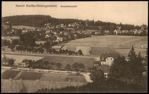 Ansichtskarte Hintergersdorf-Tharandt Kurort Gesamtansicht 1928