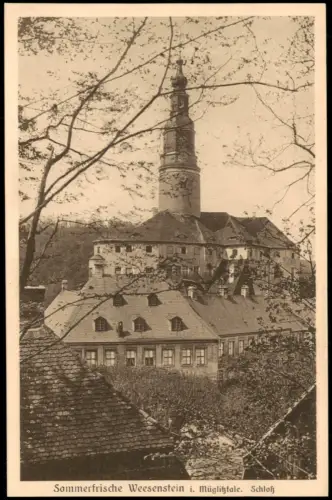 Ansichtskarte Weesenstein (Müglitz) Schloss Weesenstein Seitenansicht 1928