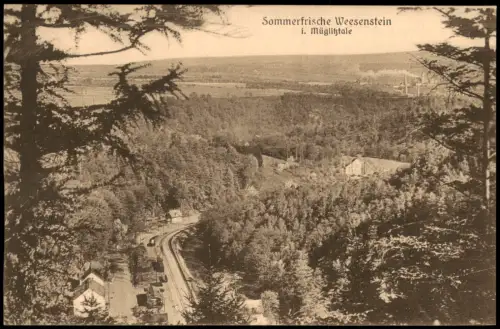 Ansichtskarte Weesenstein (Müglitz) Bahnhof Fabriken 1928