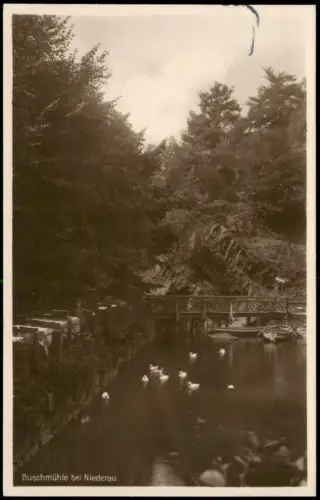 Ansichtskarte Gohlis-Niederau mit Gondelteich in mitten des Waldes 1928