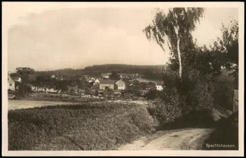 Ansichtskarte Spechtshausen-Tharandt Straßenopartie an der Stadt 1928