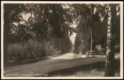 Hintergersdorf-Tharandt Kurort Hartha Harthaflügel. Fotokarte 1928