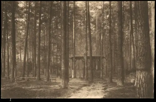 Ansichtskarte Hartha Partie im Kurpark - Pavillon 1940