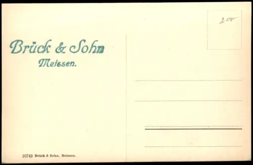 Ansichtskarte Rochlitz Fernblick auf die Stadt 1909