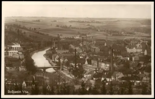 Ansichtskarte Roßwein Totale mit Fabriken 1928