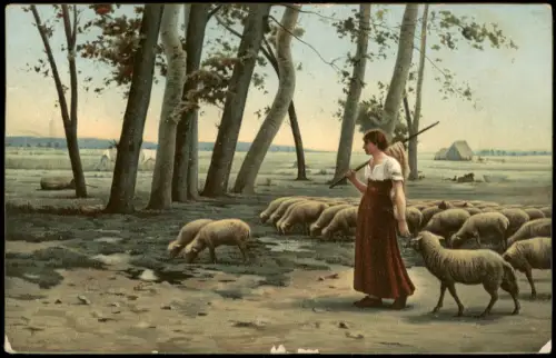 Ansichtskarte  Hirtin mit Schafherde - Dans la campagne 1909