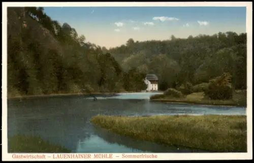 Ansichtskarte Lauenhain-Mittweida Gastwirtschaft LAUENHAINER MÜHLE Wald 1927