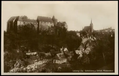 Ansichtskarte Leisnig Schloßberg u. Schloß Mildenstein 1928