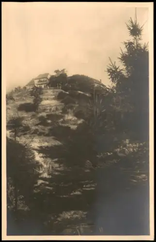 Ansichtskarte Meißen Gebhardt's Weinschank Stadtparkhöhe 1928
