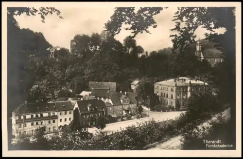 Ansichtskarte Tharandt Forstakademie Straßenpartie 1929