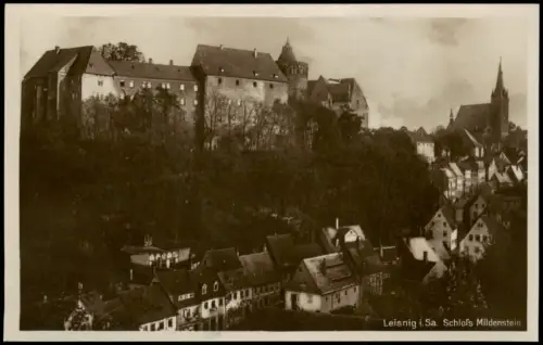 Ansichtskarte Leisnig Schloss Mildenstein Stadtpartie 1928