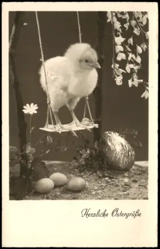 Ansichtskarte  Osterkarte mit Küken auf einer Schaukel 1955