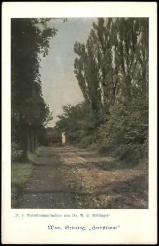 Ansichtskarte Grinzing-Wien Herbstsonne in Grinzing 1910