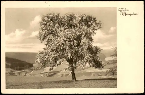 Ansichtskarte  Frühlingslandschaft (Pfingstgruß) 1940  Poststempel 14.05.1940