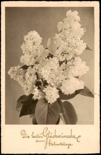 Ansichtskarte  Weiße Fliederblüten - Glückwunschkarte zum Geburtstag 1938