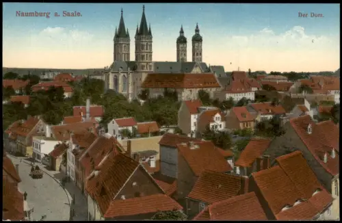 Ansichtskarte Naumburg (Saale) Stadt Dom Straße 1912