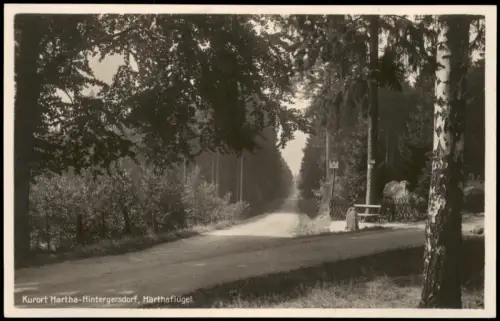 Hintergersdorf-Tharandt Kurort Hartha Harthaflügel. Fotokarte 1928