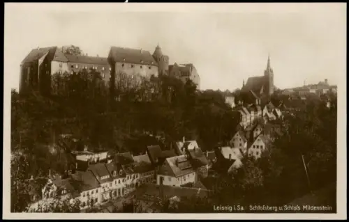 Ansichtskarte Leisnig Schloßberg u. Schloß Mildenstein 1928