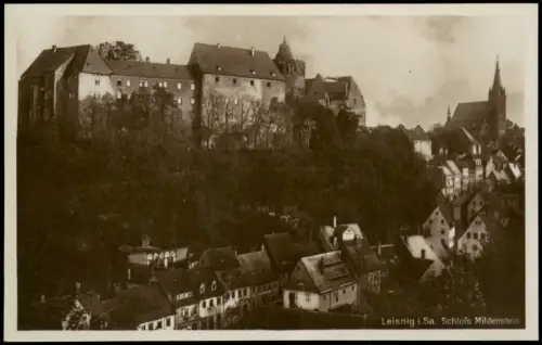 Ansichtskarte Leisnig Schloss Mildenstein Stadtpartie 1928