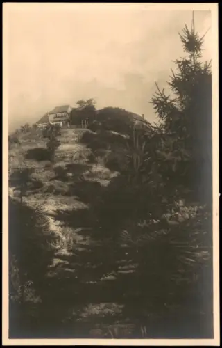 Ansichtskarte Meißen Gebhardt's Weinschank Stadtparkhöhe 1928