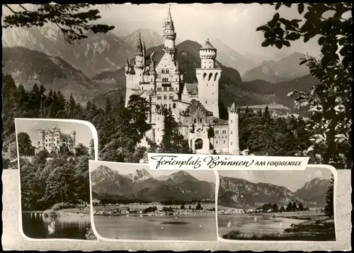 Schwangau Mehrbild-AK mit Neuschwanstein u. Ferienplatz FORGGENSEE 1967