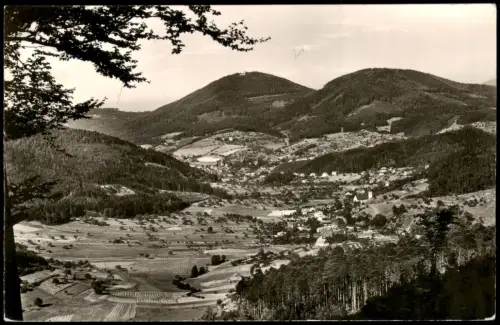 Ansichtskarte Baden-Baden Geroldsauer Tag 1954