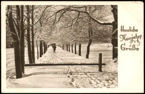 Ansichtskarte  Winterliche Allee mit Skifahrer Langlauf, Neujahrsgrüße 1905