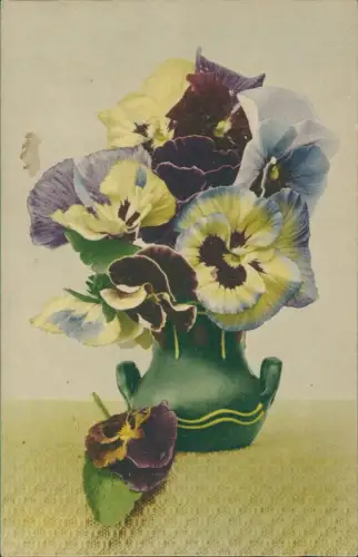 Botanik :: Blumen Künstlerkarte Stiefmütterchen in Vase intensive Farben 1911