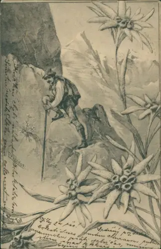 Ansichtskarte  Bergsteiger Alpen Edelweiß Künstlerkarte Döcker 1905