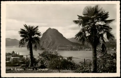 Ansichtskarte Lugano Monte San Salvatore mit Luganersee und Palmen 1955