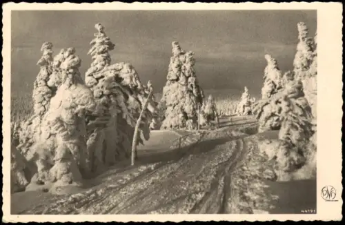 Hirschberg (Schlesien) Jelenia Góra Verschneiter Kammweg im Riesengebirge 1936