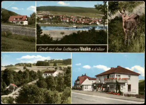 Ansichtskarte Vaake-Reinhardshagen Mehrbildkarte mit 5 Ortsansichten 1960