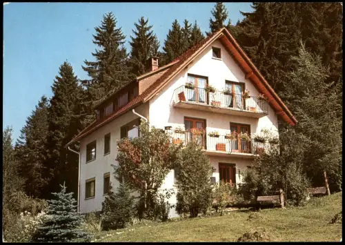 Ansichtskarte Todtmoos HAUS JOHANNA Am Rüttebach im Ortsteil Höfle 1980