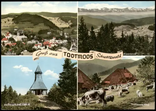 Ansichtskarte Todtmoos Mehrbildkarte 4 Ortsansichten u.a Todtmoos-Weg 1960