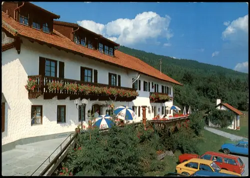 Bernried (Niederbayern) Gasthaus Wild-Berghof Buchet Bes. L. Gstettenbauer 1980
