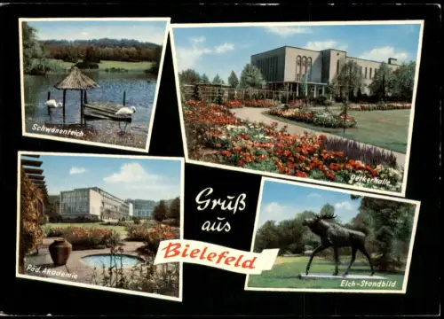 Bielefeld Mehrbild-AK mit Päd. Akademie Oetkerhalle Elch-Standbild 1965