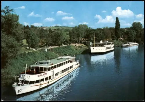Ansichtskarte Stuttgart Neckar Schiffe u.a. Berta Epple 1981   Sonderstempel