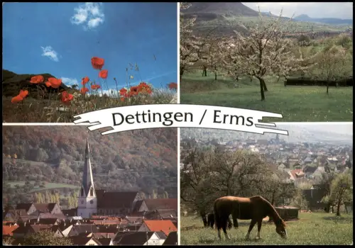 Ansichtskarte Dettingen an der Erms Mehrbildkarte mit 4 Ortsansichten 2000