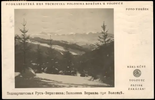 Postcard Wollowitz Wolowez Winterlandschaft Polonina Boržava 1933
