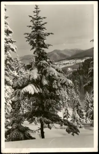 Klokočov Blick von Křižové cesty auf den  (Schlesische Beskiden) 1951