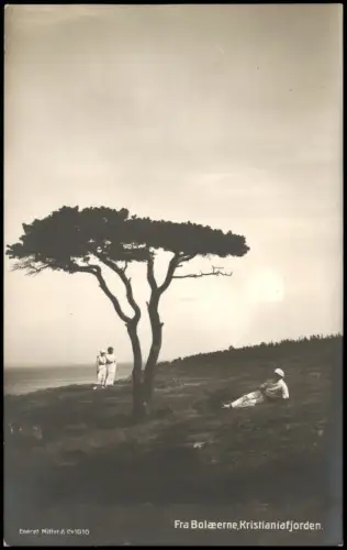Færder Fra Bolæerne, Küstenlandschaft mit markantem Baum und Personen 1915