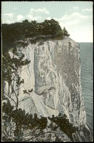 Postcard Møn Møns Klint, Forchhammers Pynt 1902