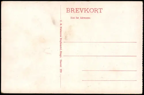 Postcard Møn Møns Klint, Forchhammers Pynt 1902