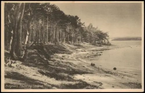 Postcard Lejre Wald und Strand am Bognæs 1930