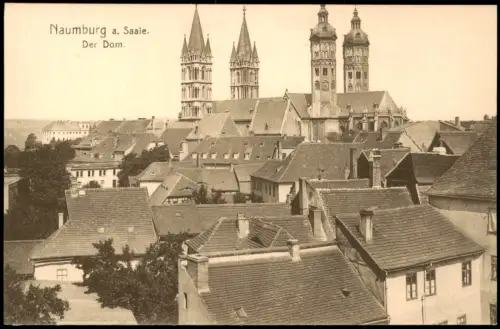 Ansichtskarte Naumburg (Saale) Blick über die Dächer der Stadt 1915