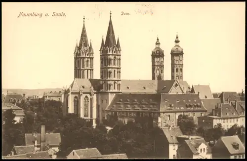 Ansichtskarte Naumburg (Saale) Stadtpartie mit Dom 1912