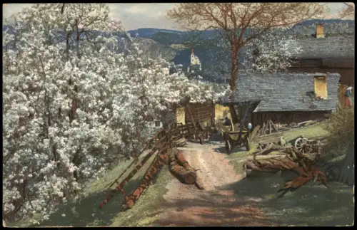 Ansichtskarte .Tirol Obstblüte in Tirol 1910