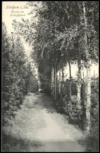 Ansichtskarte Stolpen Partie im Schloßpark 1912